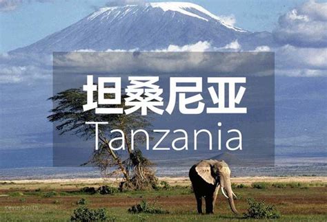坦桑尼亚和中国的关系-坦桑尼亚和中国的关系,坦桑尼亚,和,中国,关系 - 早旭阅读