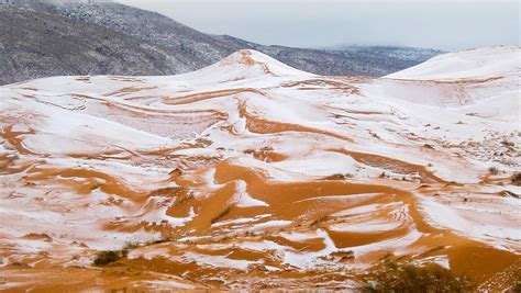 撒哈拉沙漠罕见暴雪：部分地区积雪深1米_手机新浪网