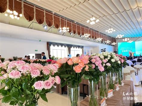 在这个全国性的会议期间，昆明晋宁花卉产业获点赞_云南看点_社会频道_云南网