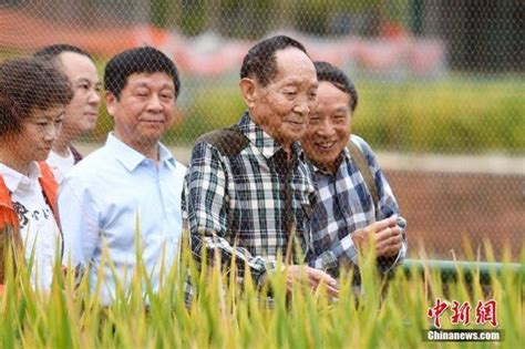 “杂交水稻之父”袁隆平逝世 一生为“两个梦想”奋斗 - 封面新闻
