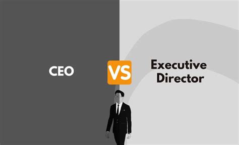 Role and responsibilities of the chief executive officer (CEO ...