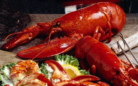 波士顿龙虾的做法,波士顿龙虾的历史,波士顿龙虾的生活习性,波士顿龙虾的形态特征_齐家网
