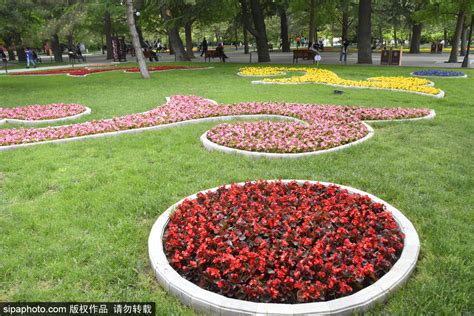 图集 | 广州满城粉色：异木棉开花，一日三次变色|杜鹃|流花湖公园|粉色_新浪新闻