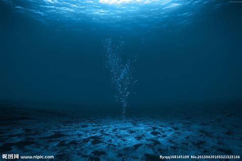 深海 海底 蓝色摄影图__海洋生物_生物世界_摄影图库_昵图网nipic.com