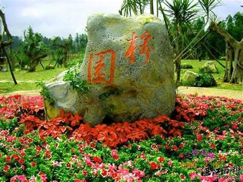 历史上的今天7月14日_2000年杨圣亮出生。杨圣亮，台湾榕园毁灭者