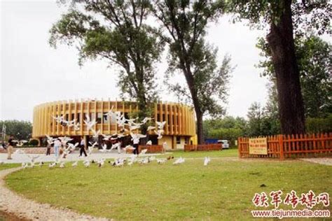 中国杨树博物馆-宿迁市泗阳县中国杨树博物馆旅游指南