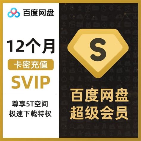 【百度网盘SVIP10永久会员版】百度网盘SVIP10永久会员版下载 v11.53.1 安卓版-开心电玩