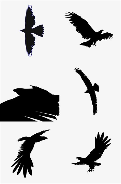 翱翔的鹰 - 爱图网设计图片素材下载