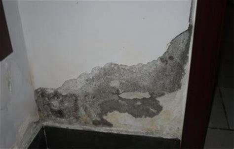 卫生间墙壁漏水是什么原因 - 优久防水百科