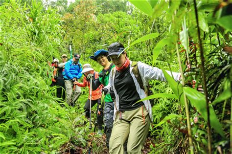 “体育+旅游”新玩法，呀诺达景区打造雨林探险特色旅游产品_海南频道_凤凰网