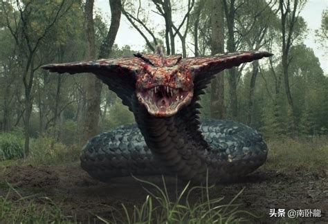 世界上各种最大的巨蛇真实视频锦集（上部分）_腾讯视频