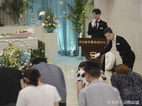 每天与死亡接触，这个殡葬师给生者写诗_北京陵园网