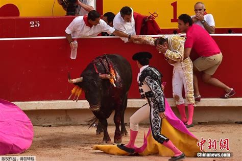 西班牙斗牛最后一剑刺哪里-最新西班牙斗牛最后一剑刺哪里整理解答-全查网