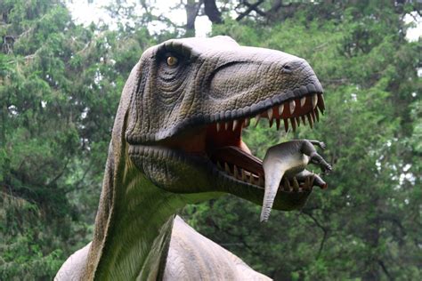 巨型恐龙展 - 地球绝对王者之谜 - 每日环球展览 - iMuseum