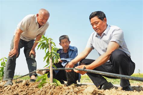 广西蒙山：党建引领“一村一品”发展名特优水果生产-人民图片网