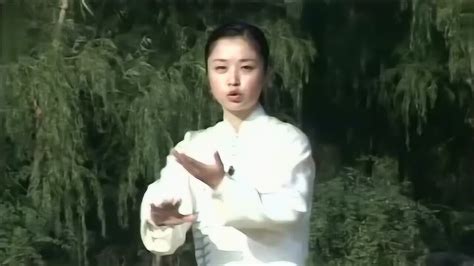 邱慧芳42式太极拳分解教学之29退步穿掌_腾讯视频
