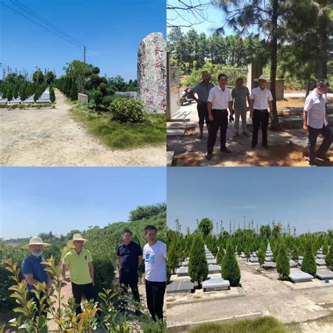 惠来县县级中部公益性公墓建设项目使用林地公示