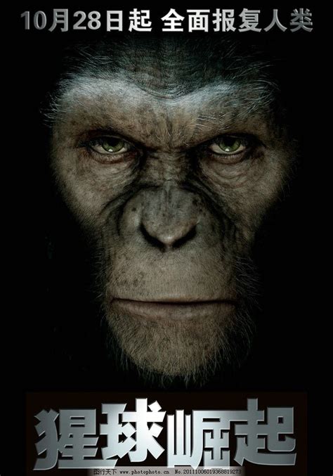 《猩球崛起》凯撒用智慧统治群猩 - 电影手册 - --hifi家庭影院音响网