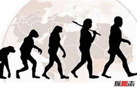 原始人~现代人的进化，与人类颜值呈正比例(民科版~~~) - 知乎