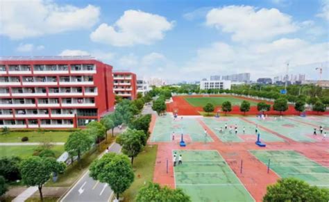 新学年多所学校“上新” 来看看这些闵行“家门口”的好学校——上海热线教育频道