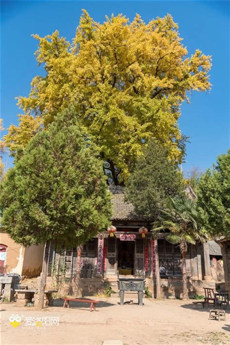洛阳嵩县必去的六大古村落：被列为国家级传统村落，全部免门票