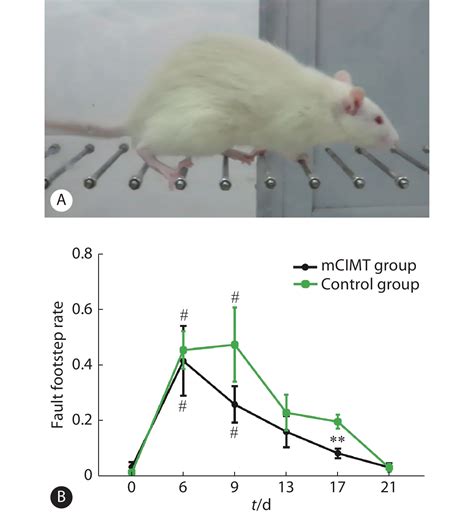 改良强制性运动调节脑缺血再灌注模型大鼠运动皮层内神经递质水平的研究