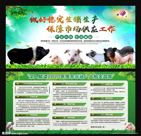 生猪养殖政策设计图__展板模板_广告设计_设计图库_昵图网nipic.com