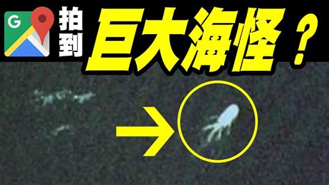 6张谷歌地图拍到的诡异照片，巨大海怪被卫星拍到？_新浪新闻