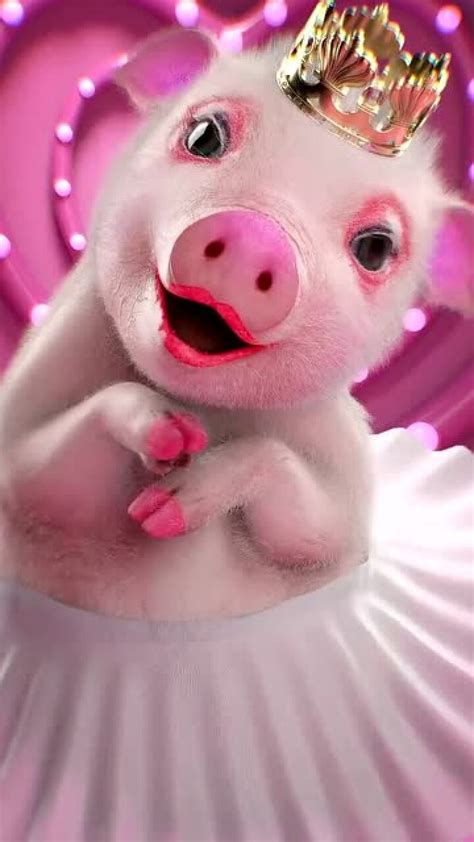 一组猪猪的可爱表情包_猪表情包 - 发表情 fabiaoqing.com