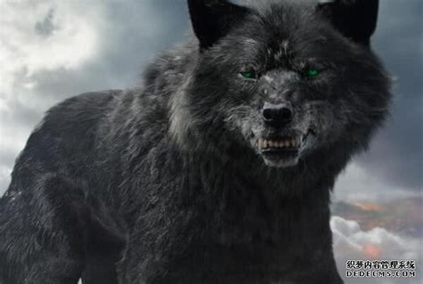 北欧十大怪物之巨狼芬里尔，火神洛基私生子/一口吞下众神之父_小狼观天下