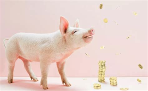 多家上市猪企发布5月销售数据，机构预测：年底猪价有望达到23元/公斤！ - 猪好多网