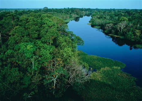 南美洲亚马逊雨林的鸟瞰图高清摄影大图-千库网