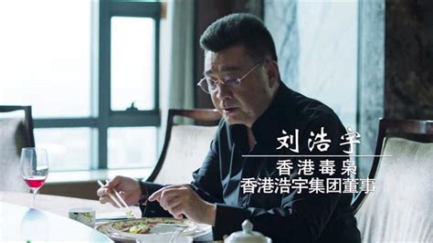 66岁老戏骨陈逸恒，从TVB配音起步，如今已是“省长专业户”|陈逸恒|配音|省长_新浪新闻