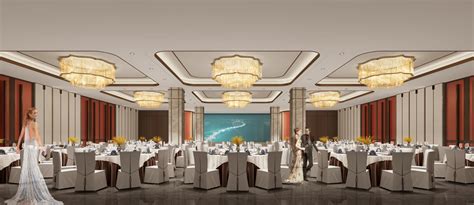 预计2024年建成！珠海海岛上的两家国际五星级酒店来了！_东澳岛_阿丽_旅游