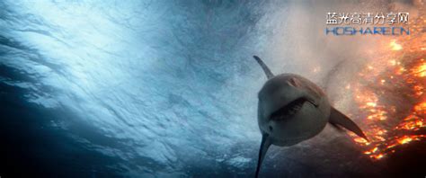 巨齿鲨口在劫难逃 电影《大白鲨之夺命鲨口》8月26日惊魂上映 - 360娱乐，你开心就好