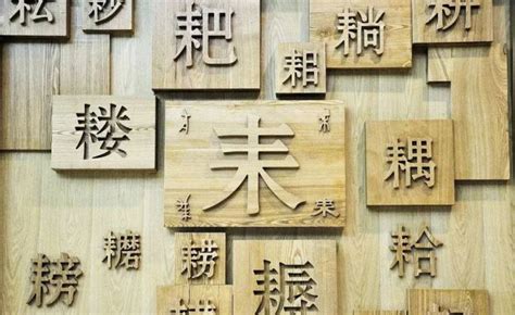 专家写给孩子的“说文解字”，为孩子搭建一座汉字博物馆