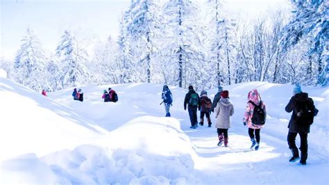 冬天山里背着包和雪鞋的女人前往风景优美的地方一个金发碧眼的人用登山杖的画像一位游客穿过白雪皑的森林女高清图片下载-正版图片505683180-摄图网