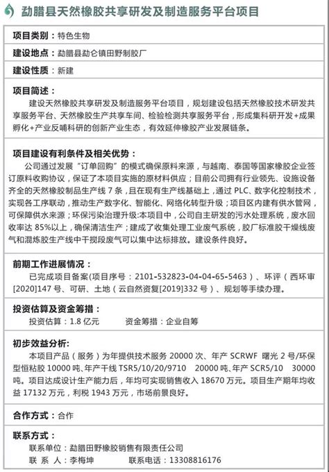 西双版纳州向香港企业家代表团开展招商推介_频道头条_西双版纳_云南网