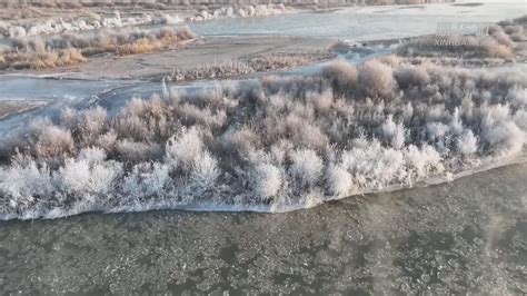 黑河湿地天鹅悠然越冬_凤凰网视频_凤凰网