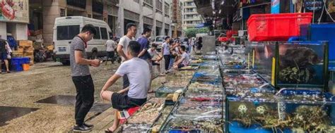 官方检查12省市水产品 北京部分超市未见有活鱼卖--图片频道--人民网