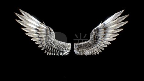 黑色背景下的天使翅膀素材-高清图片-摄影照片-寻图免费打包下载