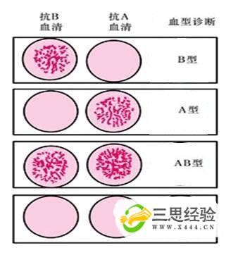 大众科普——血型不一样就不是亲生的吗？-中国输血协会