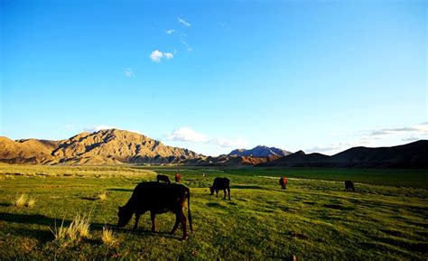 巴彦淖尔 | 你之于历史，我知于你！ - 巴彦淖尔体验 - 内蒙古旅游网-资讯、景点、服务、攻略、知识一网打尽