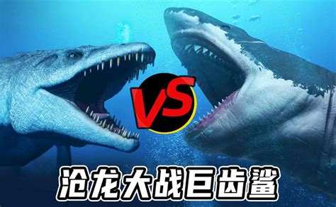 巨齿鲨VS沧龙，到底谁才是海洋霸主，看完别不信！#知识π计划-知识抢先知#