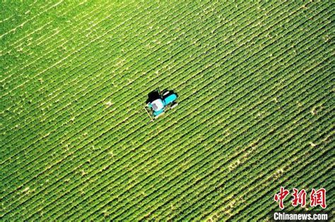 新疆昌吉推广新型无人农机发展智慧农田 - 国内新闻 - 陕西网
