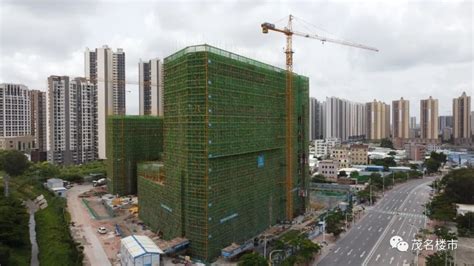 广东建设报-茂名又一个千亿产业集群诞生