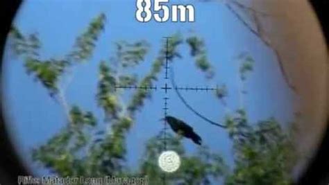 外国Edgun 高压气枪AIRGUN打猎视频远距离狙杀