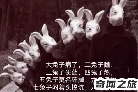 《十只兔子恐怖童谣挑战》二破除迷信打破谣言_腾讯视频