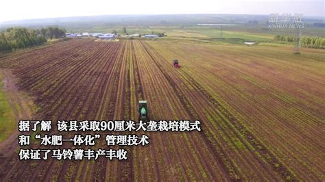 黑龙江克山县：10万亩马铃薯迎丰收_凤凰网视频_凤凰网