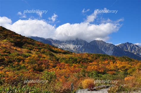 黒菱平からの白馬三山 写真素材 [ 5292867 ] - フォトライブラリー photolibrary